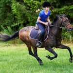 Planung des perfekten Gartenfests: Ein Leitfaden