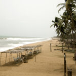 Radsport: So bereiten Sie sich auf ein Rennen vor