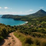 Die Zukunft der Berggorillas in Ruanda: Eine Herausforderung für den Artenschutz